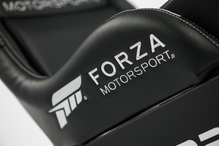 Immagine prodotto Playseat Forza Motorsport