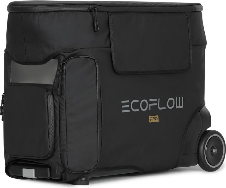 EcoFlow Borsa Delta Pro