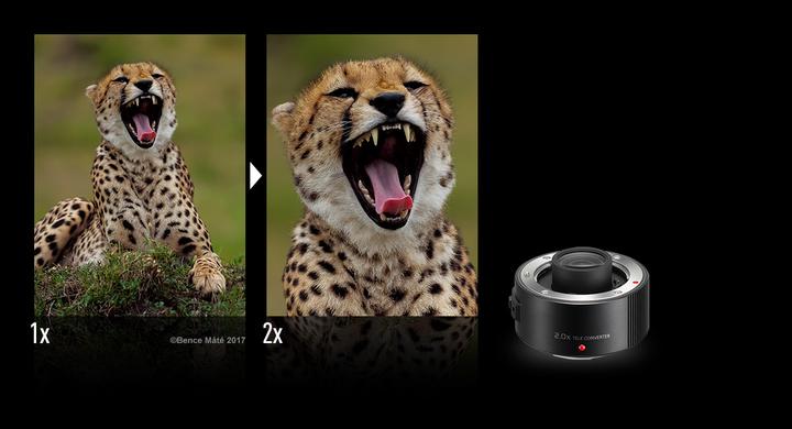 Image du produit Panasonic DMW-TC20 (Téléconvertisseur, Leica DG)