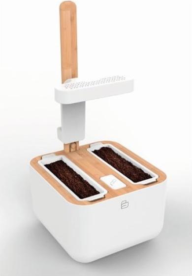 Produktbild Véritable Botaneo Eylo (18.40 cm)
