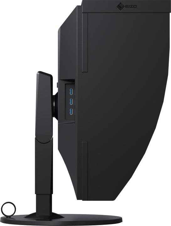 Image du produit Eizo CG319X ColorEdge (4096 x 2160 pixels, 31")