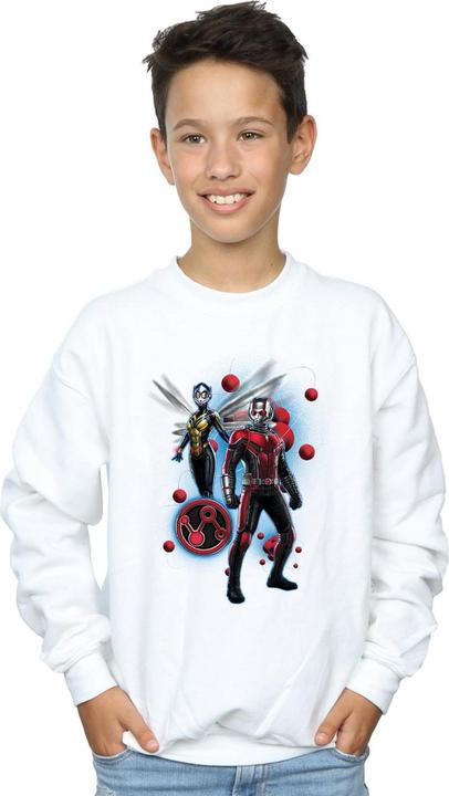 Immagine prodotto Sweat Garçons Ant-Man And The Wasp Particle Pose (128)