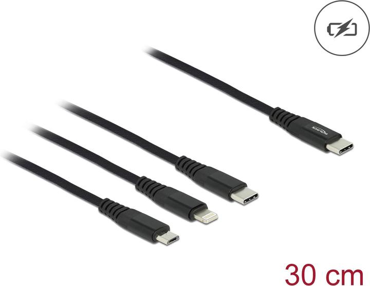 Immagine prodotto Delock 3in1 (0.30 m, USB 2.0)