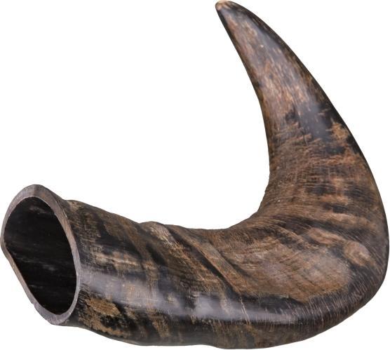 Image du produit Trixie Corne à mâcher naturelle de buffle (Adulte, 1 pcs, 150 g)
