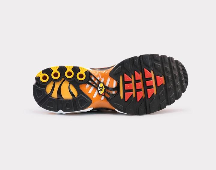 Image du produit Nike Air Max Plus (44)