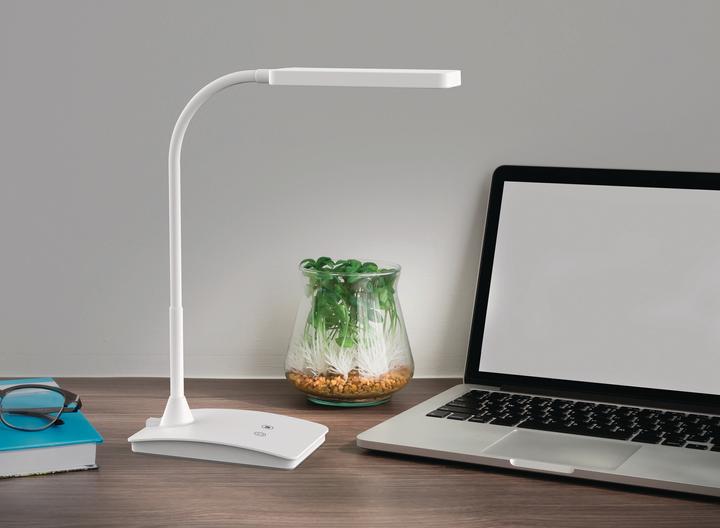 Image du produit Maul LED craft (970 lm)