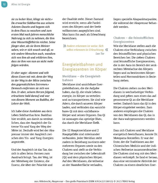 Image du produit Akupressur - Das grosse Praxisbuch (Allemand, Maitri Hillebrecht, 2023)