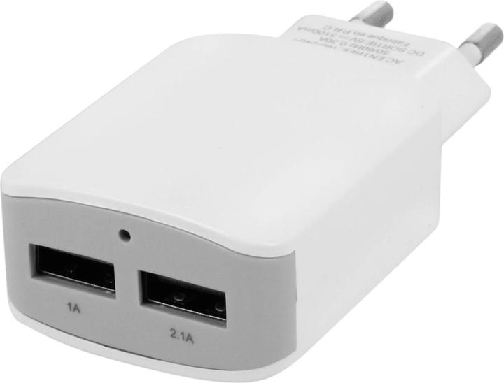 Actual product image Avizar Dual USB 3.1A(1A + 2.1A) Wall Charger (10 W)
