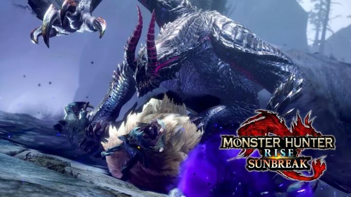 Immagine prodotto Nintendo Set Monster Hunter Rise + Sunbreak (Switch, Multilingue)