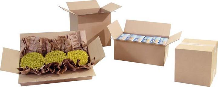 Image du produit Transpak Carton Trans-pak 1 cannelure 340 x 240 x 280 mm C4 (25 x)