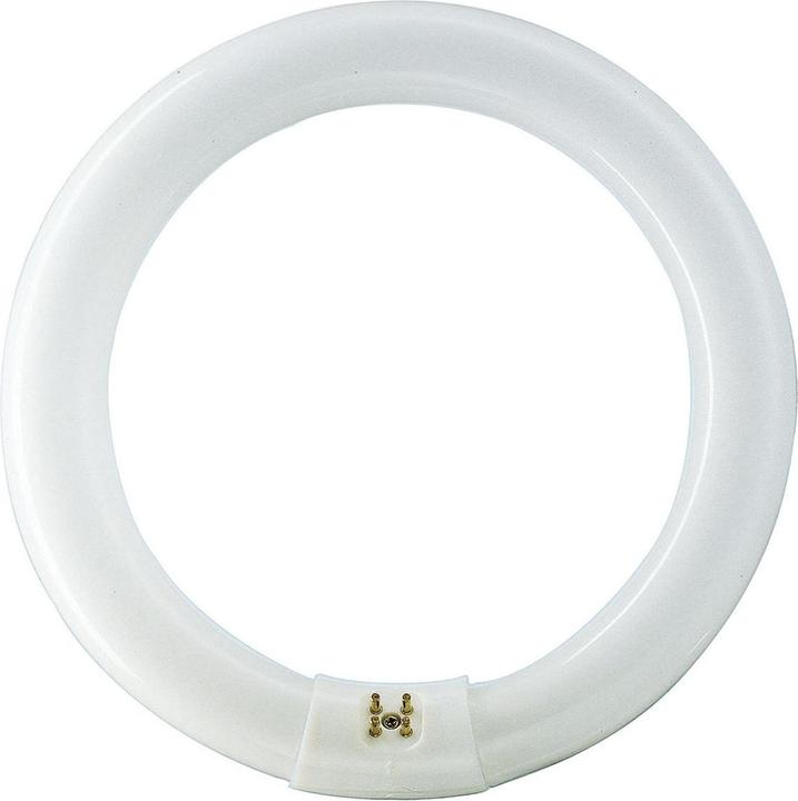 Immagine prodotto Philips Lampada fluorescente TL-E (G10q, 40 W, 3200 lm, 12 x, G)