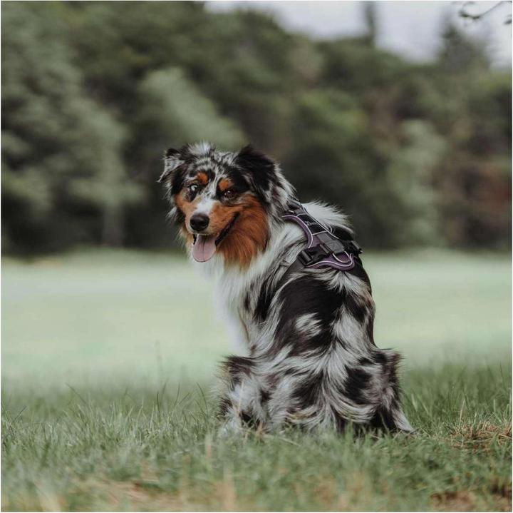 Produktbild Hunter Geschirr Divo (L, XL, Hund, Allgemein)