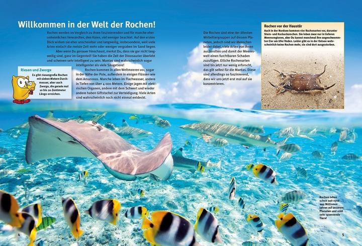 Produktbild Entdecke die Rochen (Deutsch, Ralf P. Sonntag, 2023)