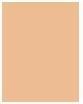 Immagine prodotto Shiseido Synchro Skin Rad Lifting Fond de Teint No 350 (350 Acero)