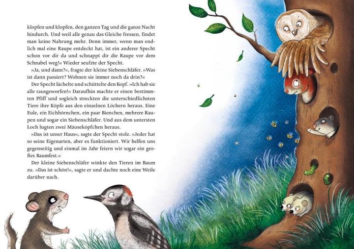 Image du produit Der kleine Siebenschläfer: Eine Schnuffeldecke voller Gutenachtgeschichten (Allemand, Sabine Bohlmann, Kerstin Schoene, 2019)