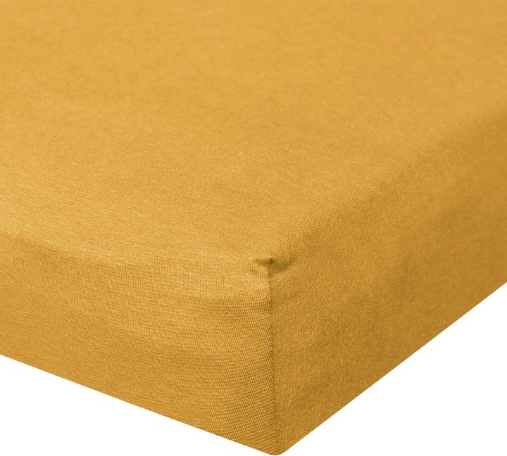 Ochre