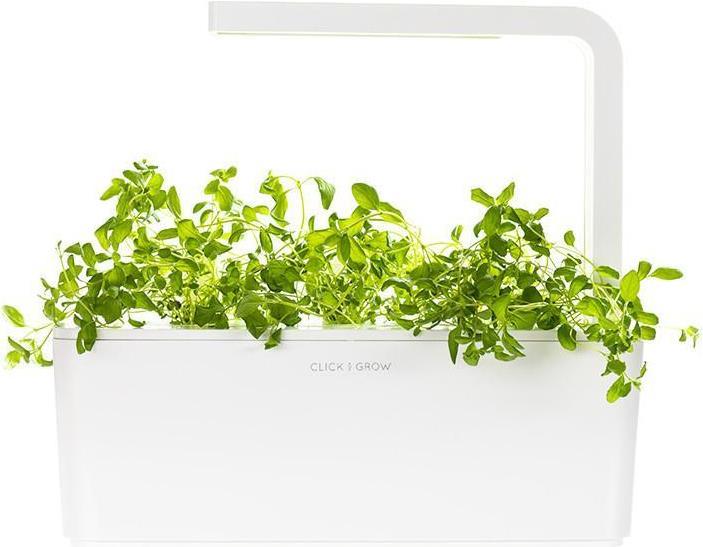 Produktbild Click and Grow Oregano (Kräutersamen)