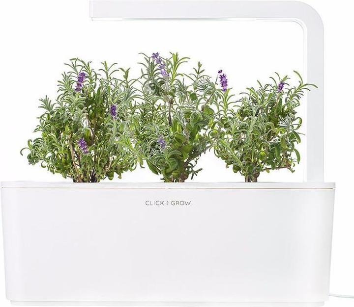 Actual product image Click and Grow Lavender (Herb seeds)