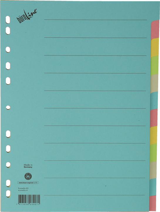 Actual product image BüroLine Cardboard register coloured A4