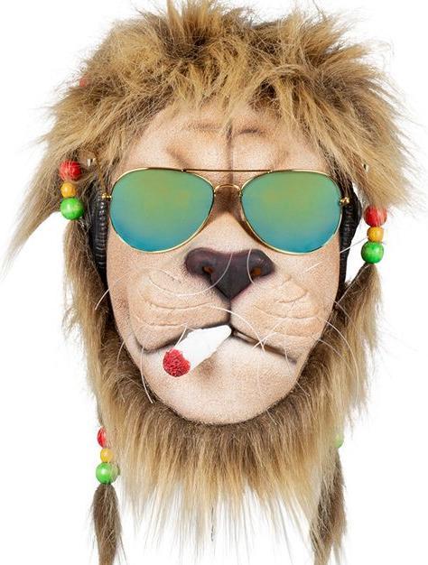 Immagine prodotto Boland Maschera di leone rasta con capelli e occhiali, lattice