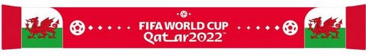Furn World Cup 2022 Strickschal Jerseyware