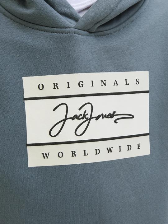 Image du produit Jack & Jones Logo Kapuzenpullover Mini Kapuzenpullover (104)