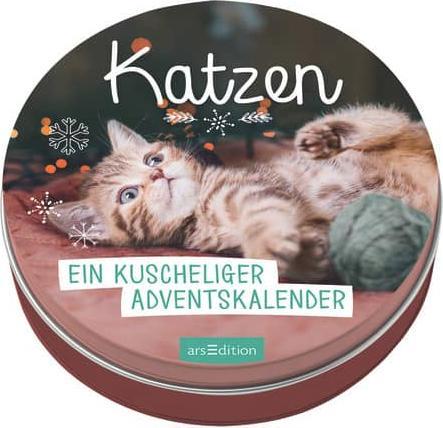 Katzen - kuscheliger Advent