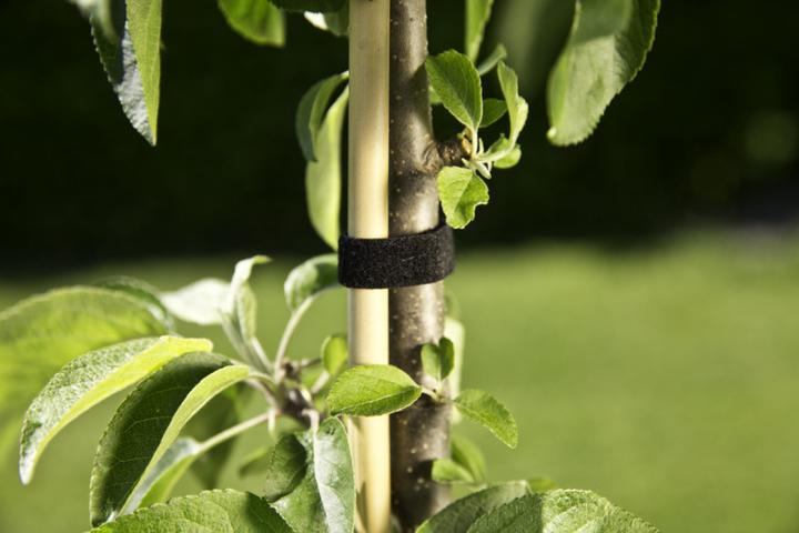 Immagine prodotto Windhager Fascetta universale in velcro (500 cm, 1.20 cm)