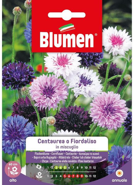 Image du produit Blumen Saatgut Kornblume Mix (Graines de fleurs)