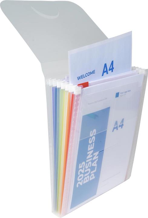 Actual product image Exacompta Crystal fan folder A4 vertical (A4, 1 x)