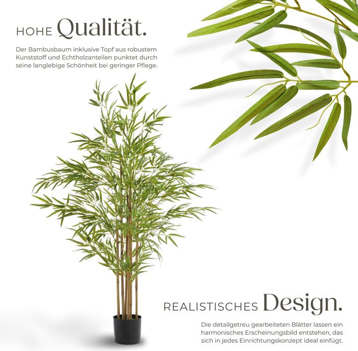 Actual product image tectake Bamboo tree Bambosa (150 cm)