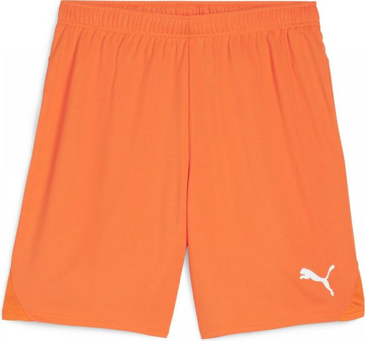 Actual product image Puma teamGOAL shorts (M)