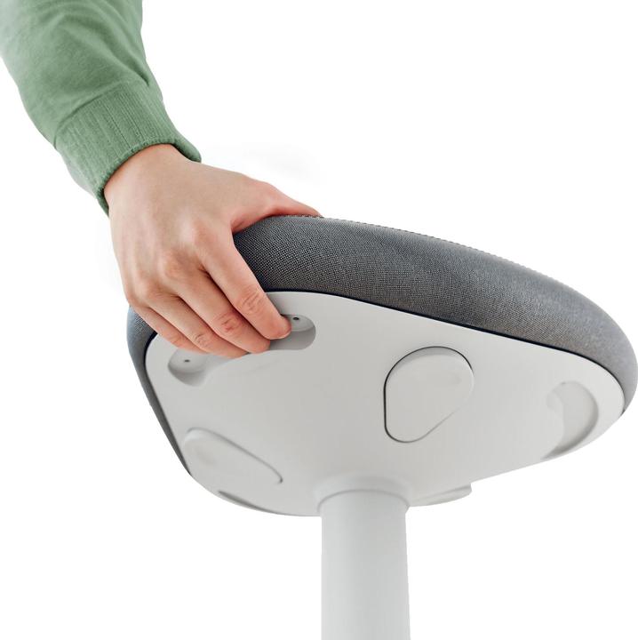 Actual product image Leitz Ergo Active