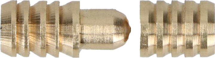 Image du produit Werkstarck Tourillons d'assemblage (Ancrages à enfoncer, 1 pcs)