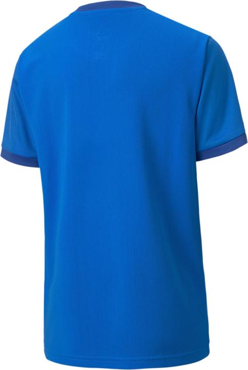 Image du produit Puma teamGOAL 23 Jersey jr-704160 (128)