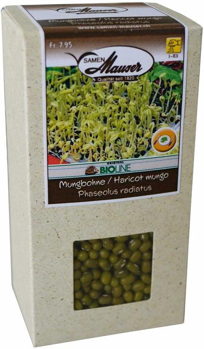 Produktbild Samen Mauser Samen Keimsprossen Mungbohne (Keimlinge)