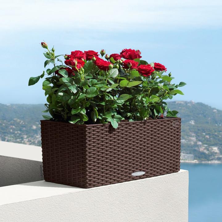 Actual product image Lechuza Balconera Cottage (19 cm)
