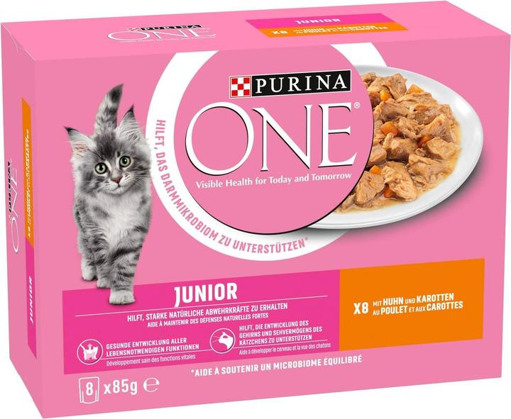 Purina ONE Junior (Junior, 8 pcs., 700 g)