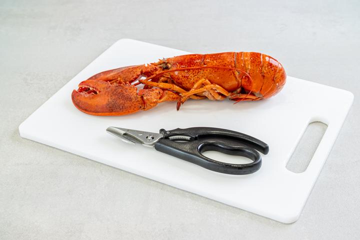 Produktbild Master Class 18.5cm Seafood Shears, Blister Carded