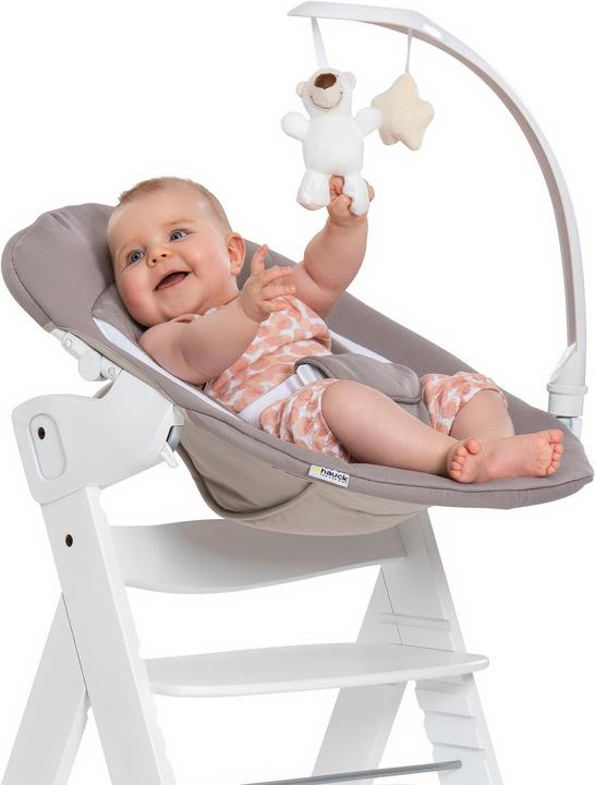 Actual product image Hauck Alpha Bouncer Deluxe