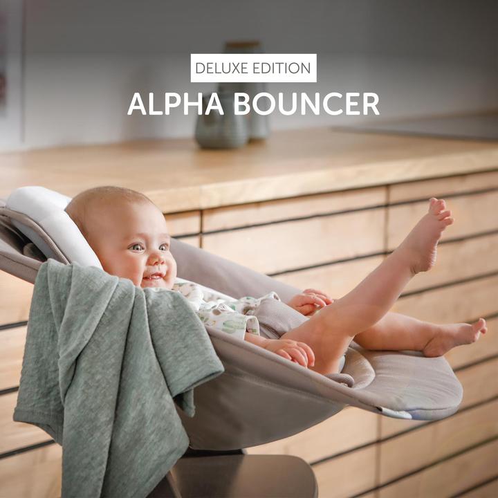 Actual product image Hauck Alpha Bouncer Deluxe