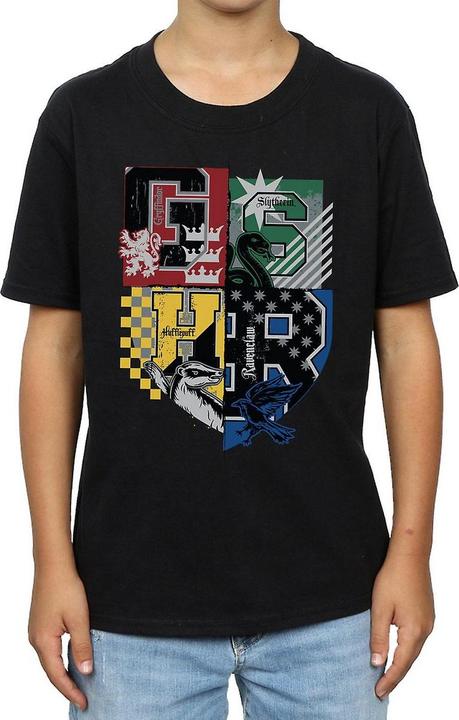 Image du produit T-shirt en coton pour garçons sur les maisons de Poudlard (152, 158)