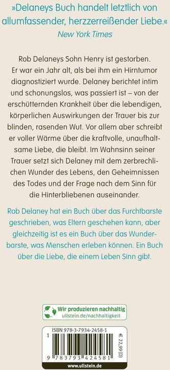 Produktbild Die Bedeutung eines Lebens (Deutsch, Rob Delaney, 2024)