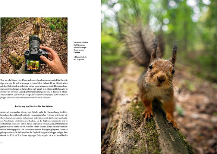 Produktbild Kosmos Moments in Nature (Deutsch, Una López, Gamander López, 2024)
