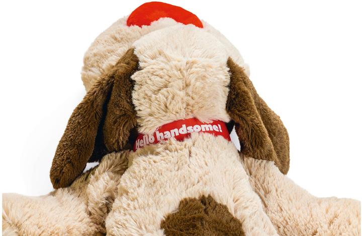 Produktbild Beeztees Joep (Plüschspielzeug Hund)