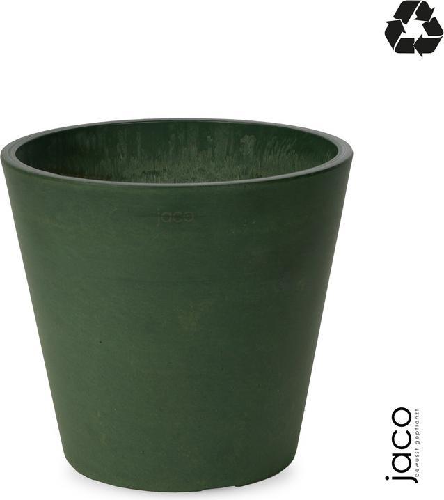 Oliva