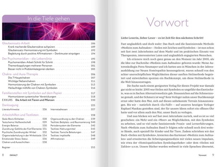 Actual product image Medizin zum Aufmalen: Heilen mit Zeichen und Symbolen. Das Basisbuch Neue Homöopathie (German, Roswitha Stark, 2025)