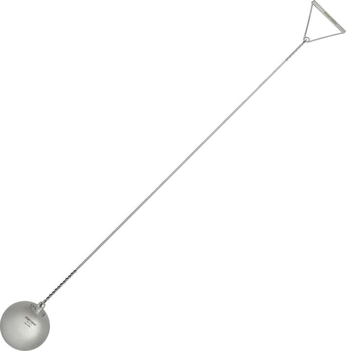 3000 g