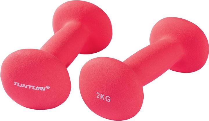 2 x 2 kg