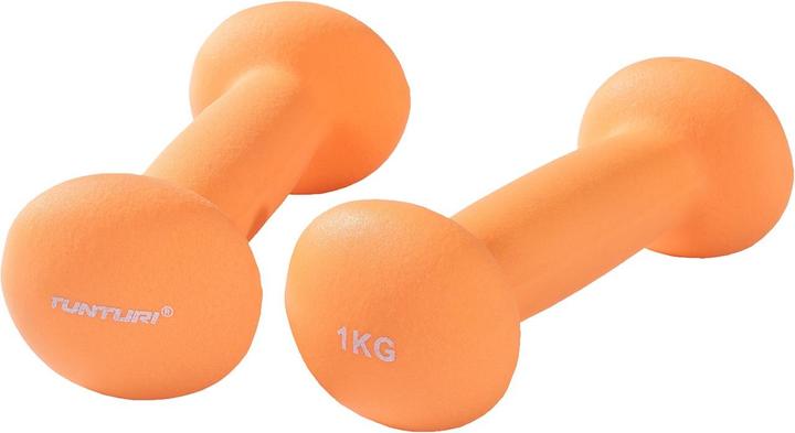 2 x 1 kg